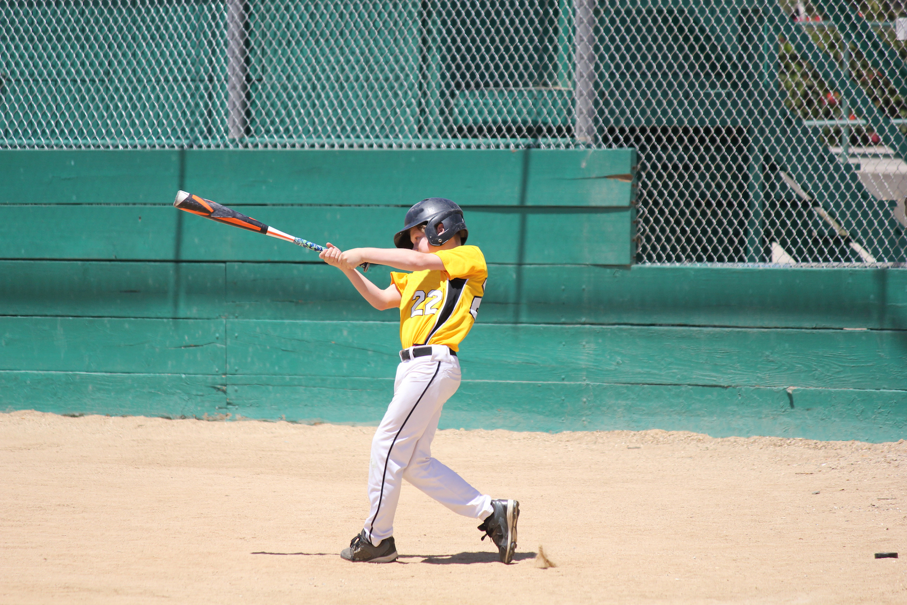 Let Your Kids Fall In Love With Baseball Schaumburg Seminoles