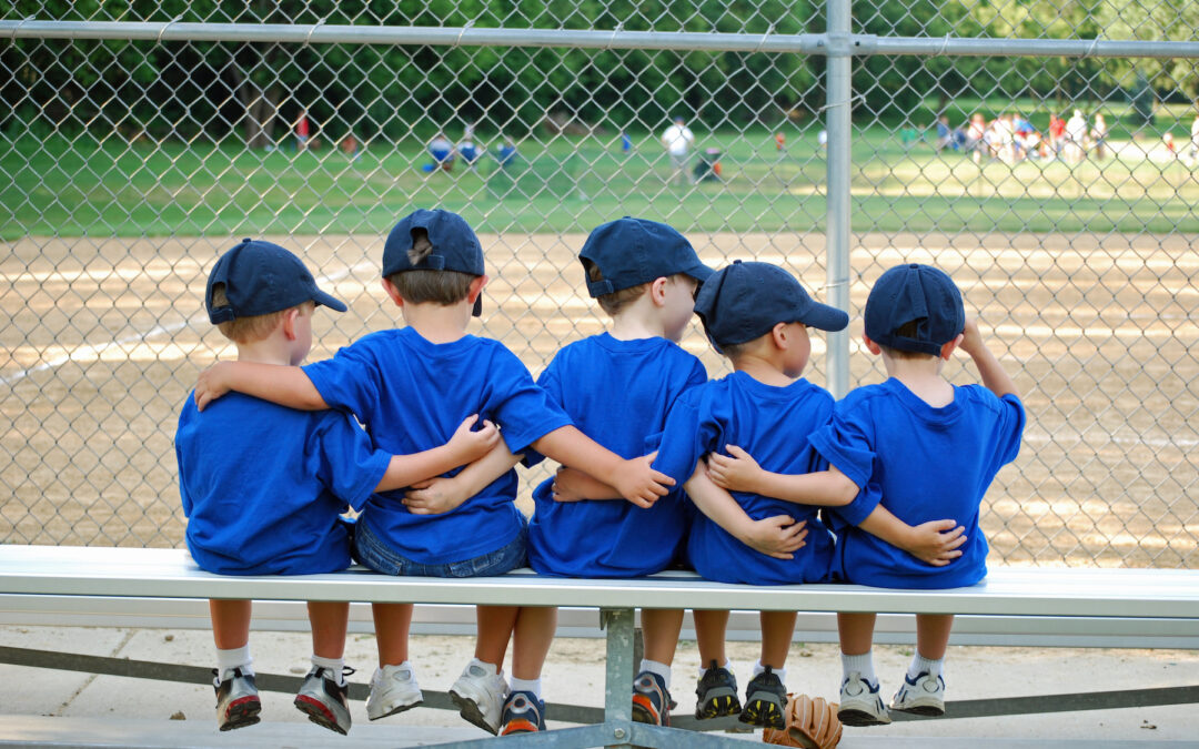 Taking Baseball Beyond Summer League Sports