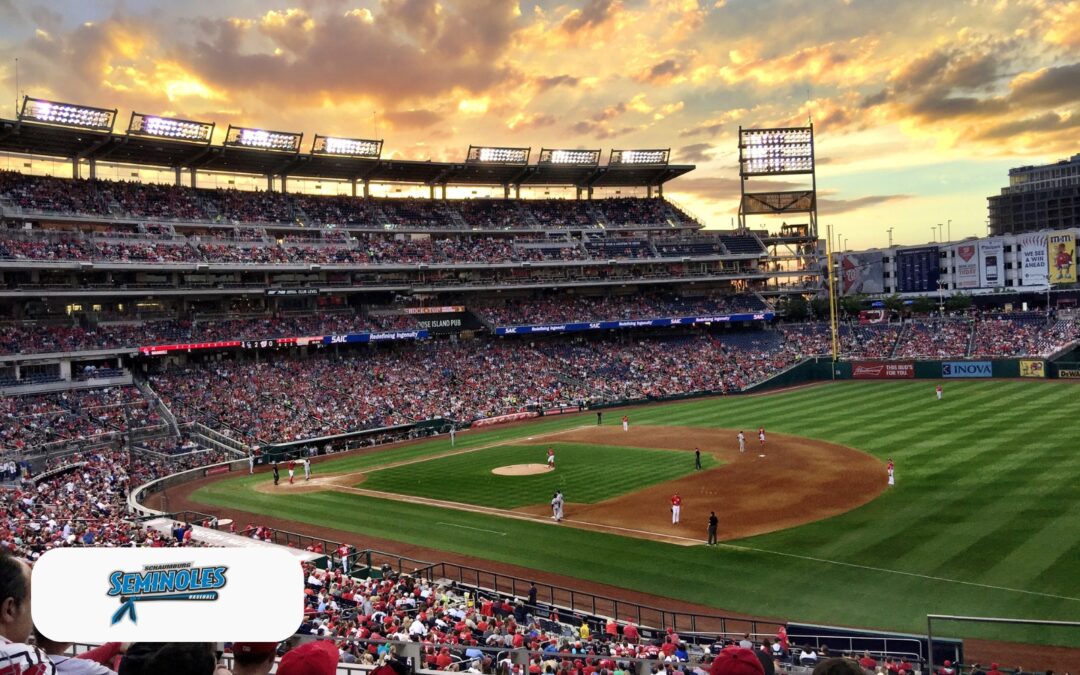 The Journey to MLB: From Local Baseball to Professional Draft
