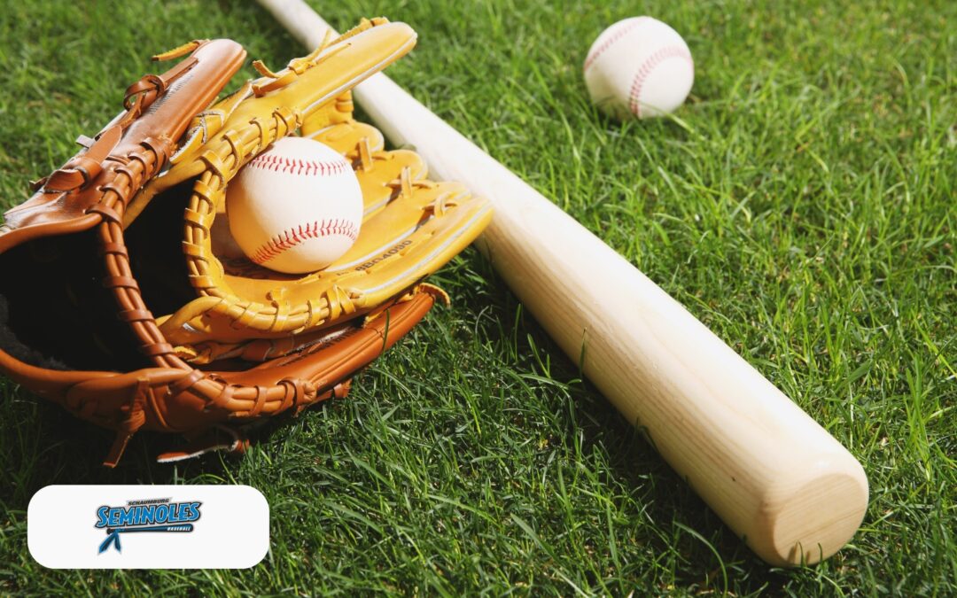The Hidden Value of Baseball: Life Lessons Beyond the Field